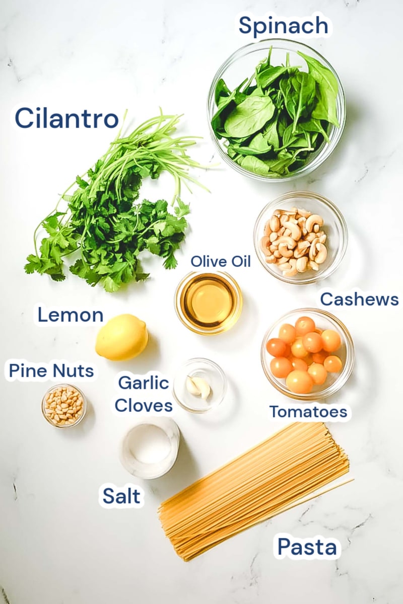 ingredients for vegan pesto pasta, includes basil, cilantro, lemon, pinenuts, cashew nuts, pasta, cherry tomatoes, garlic, salt and oil.