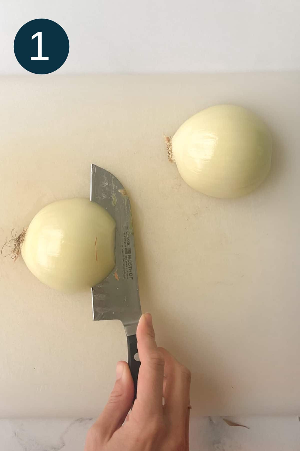 carefully cut onion perpendicular to root.