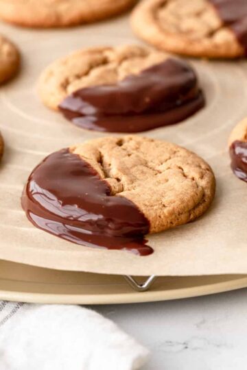 peanut butter cookie freshly dipped into chocolate ganache.